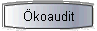 �koaudit