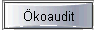 �koaudit